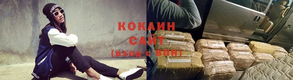 кокс Алексин