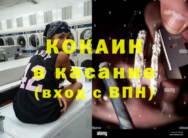 кокс Алексин