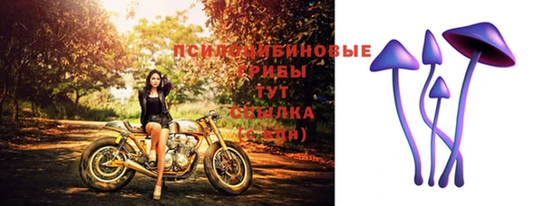 ALPHA PVP Алзамай