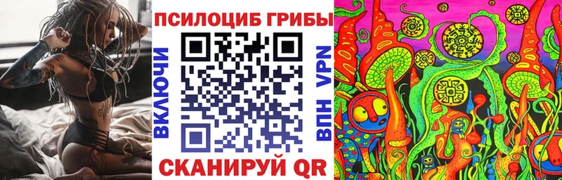 mega маркетплейс Нурлат Псилоцибиновые грибы Psilocybe