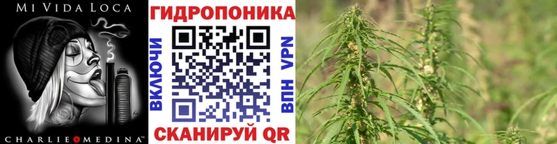 Конопля SATIVA & INDICA Нурлат